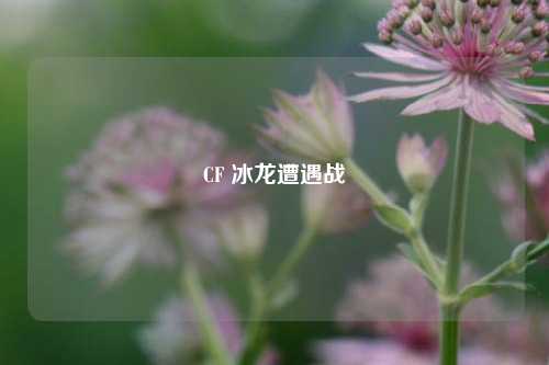 CF 冰龙遭遇战