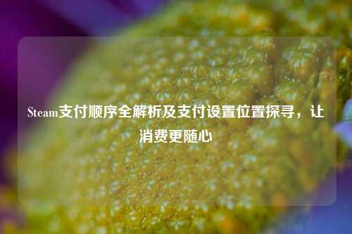 Steam支付顺序全解析及支付设置位置探寻,让消费更随心