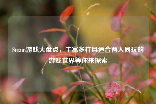 Steam游戏大盘点,丰富多样且适合两人同玩的游戏世界等你来探索