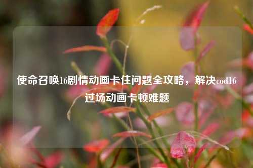 使命召唤16剧情动画卡住问题全攻略,解决cod16过场动画卡顿难题