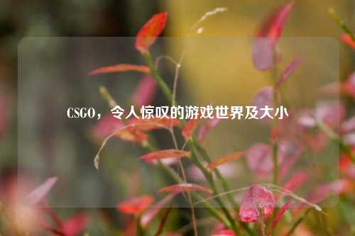 CSGO，令人惊叹的游戏世界及大小