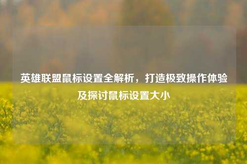 英雄联盟鼠标设置全解析,打造极致操作体验及探讨鼠标设置大小