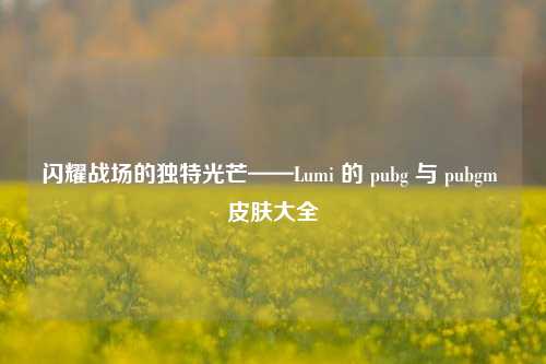 闪耀战场的独特光芒——Lumi 的 pubg 与 pubgm 皮肤大全