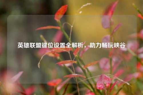 英雄联盟键位设置全解析，助力畅玩峡谷