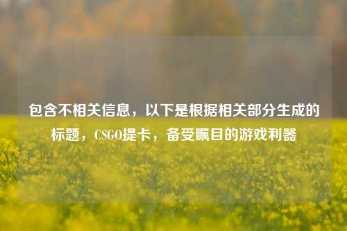 包含不相关信息,以下是根据相关部分生成的标题,CSGO提卡,备受瞩目的游戏利器