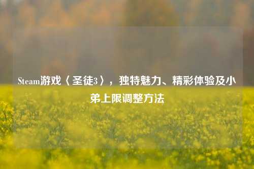 Steam游戏〈圣徒3〉,独特魅力、精彩体验及小弟上限调整方法