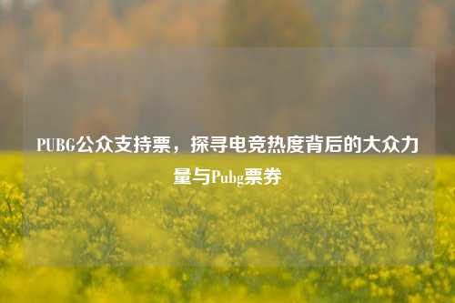PUBG公众支持票,探寻电竞热度背后的大众力量与Pubg票券