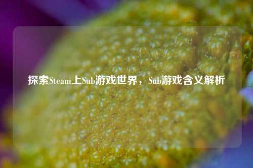 探索Steam上Sub游戏世界,Sub游戏含义解析