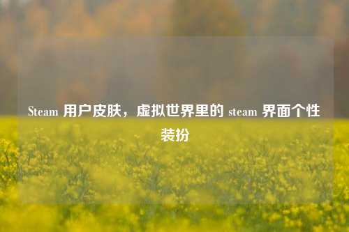 Steam 用户皮肤,虚拟世界里的 steam 界面个性装扮