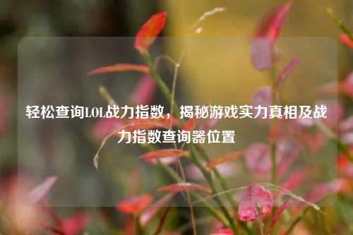 轻松查询LOL战力指数,揭秘游戏实力真相及战力指数查询器位置