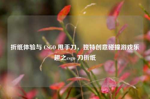 折纸体验与 CSGO 甩手刀,独特创意碰撞游戏乐趣之csgo 刀折纸