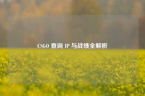 CSGO 查询 IP 与战绩全解析