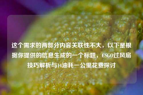 这个需求的两部分内容关联性不大，以下是根据你提供的信息生成的一个标题，CSGO过风扇技巧解析与14油耗一公里花费探讨