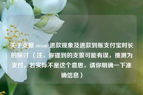 关于支狼 steam 退款现象及退款到账支付宝时长的探讨 (注,你提到的支狼可能有误,推测为支付,若实际不是这个意思,请你明确一下准确信息)