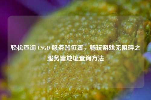 轻松查询 CSGO 服务器位置,畅玩游戏无阻碍之服务器地址查询方法