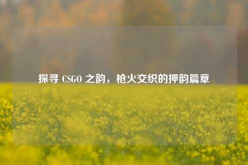 探寻 CSGO 之韵,枪火交织的押韵篇章
