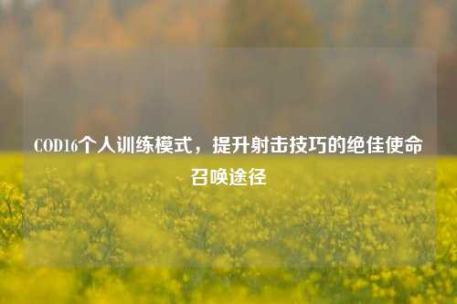 COD16个人训练模式，提升射击技巧的绝佳使命召唤途径