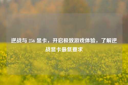 逆战与 256 显卡,开启极致游戏体验,了解逆战显卡最低要求