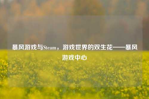 暴风游戏与Steam，游戏世界的双生花——暴风游戏中心
