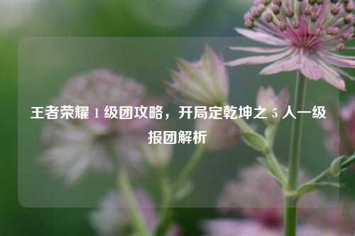 王者荣耀 1 级团攻略,开局定乾坤之 5 人一级报团解析