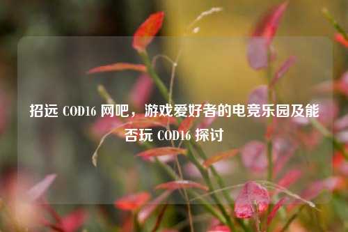 招远 COD16 网吧,游戏爱好者的电竞乐园及能否玩 COD16 探讨