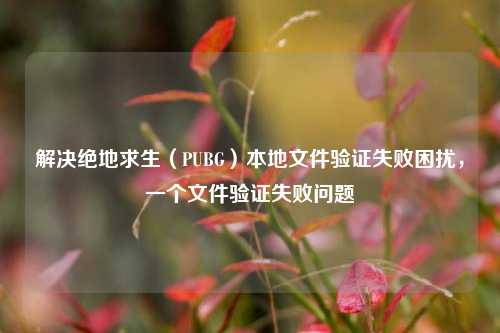 解决绝地求生(PUBG)本地文件验证失败困扰,一个文件验证失败问题
