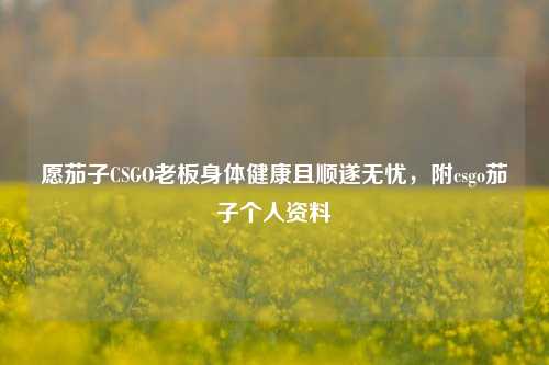 愿茄子CSGO老板身体健康且顺遂无忧,附csgo茄子个人资料