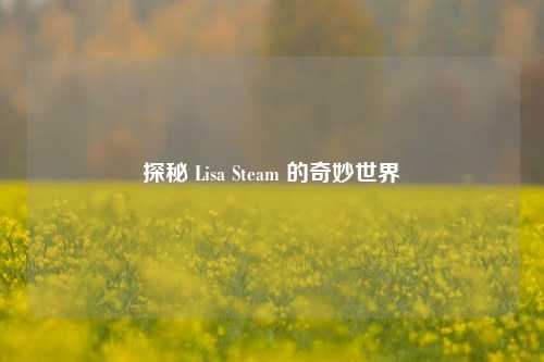 探秘 Lisa Steam 的奇妙世界