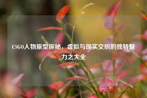 CSGO人物原型探秘,虚拟与现实交织的独特魅力之大全