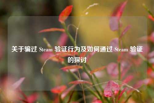 关于骗过 Steam 验证行为及如何通过 Steam 验证的探讨