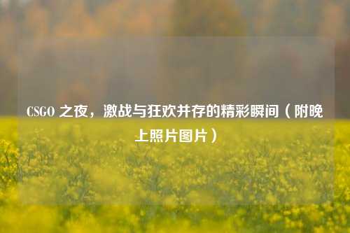 CSGO 之夜,激战与狂欢并存的精彩瞬间(附晚上照片图片)