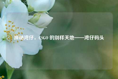探秘湾仔,CSGO 的别样天地——湾仔码头