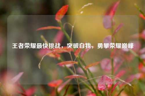 王者荣耀最快挑战,突破自我,勇攀荣耀巅峰