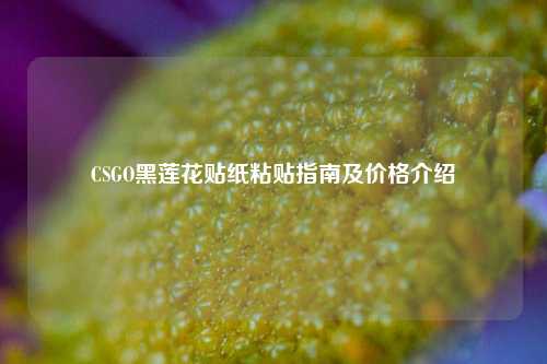 CSGO黑莲花贴纸粘贴指南及价格介绍