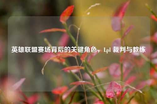 英雄联盟赛场背后的关键角色,Lpl 裁判与教练