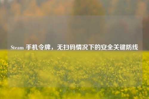 Steam 手机令牌,无扫码情况下的安全关键防线
