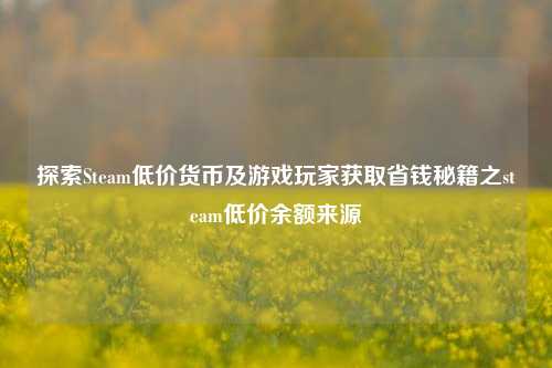 探索Steam低价货币及游戏玩家获取省钱秘籍之steam低价余额来源