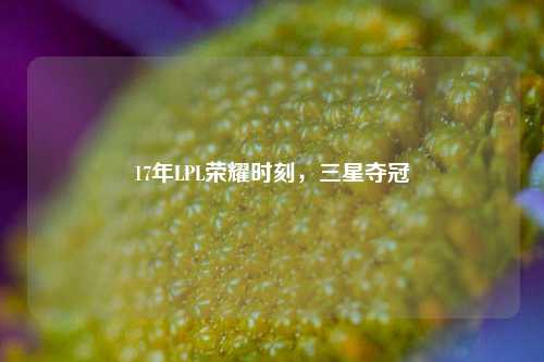 17年LPL荣耀时刻,三星夺冠