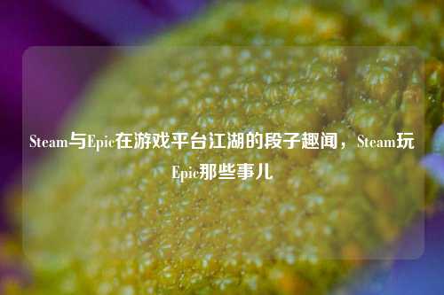 Steam与Epic在游戏平台江湖的段子趣闻,Steam玩Epic那些事儿