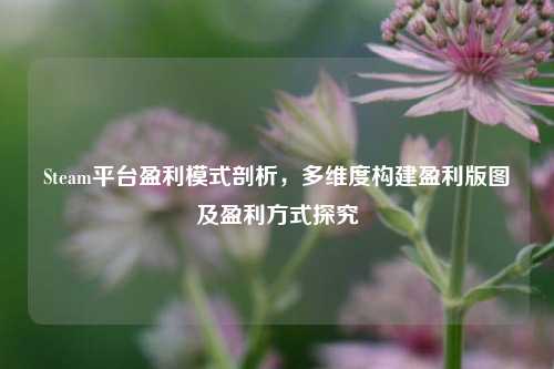 Steam平台盈利模式剖析,多维度构建盈利版图及盈利方式探究