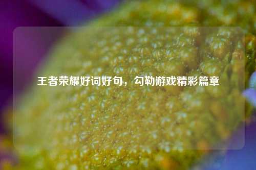 王者荣耀好词好句,勾勒游戏精彩篇章