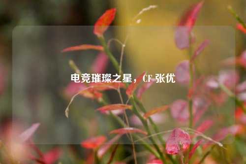 电竞璀璨之星,CF 张优