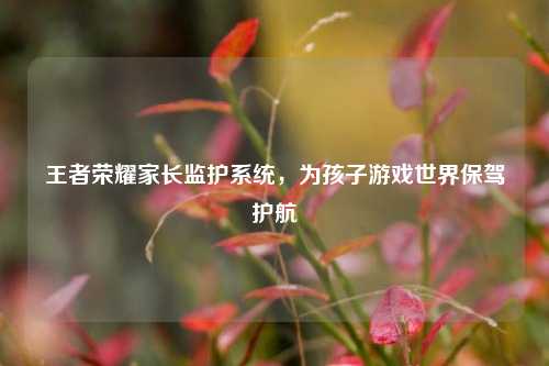 王者荣耀家长监护系统,为孩子游戏世界保驾护航