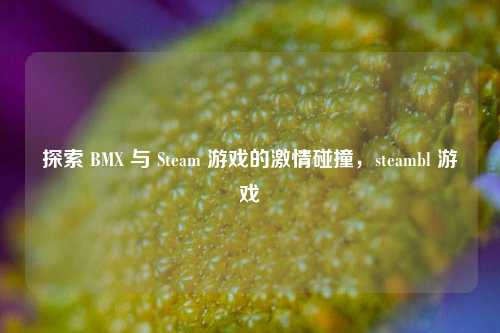 探索 BMX 与 Steam 游戏的激情碰撞,steambl 游戏