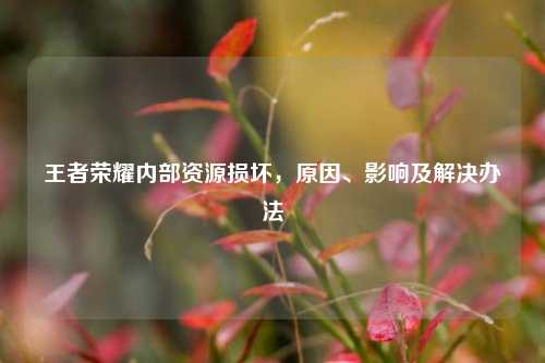 王者荣耀内部资源损坏,原因、影响及解决办法