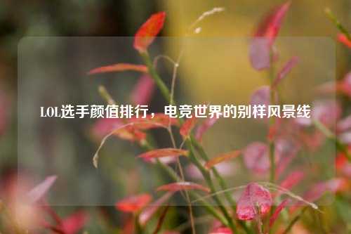 LOL选手颜值排行,电竞世界的别样风景线