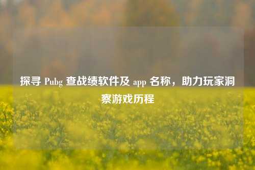 探寻 Pubg 查战绩软件及 app 名称,助力玩家洞察游戏历程