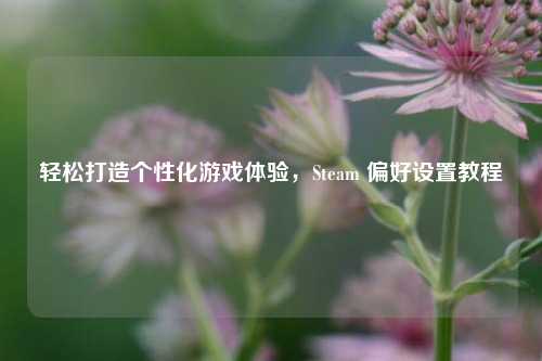 轻松打造个性化游戏体验,Steam 偏好设置教程