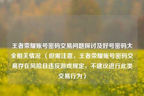 王者荣耀账号密码交易问题探讨及好号密码大全相关情况 (但需注意,王者荣耀账号密码交易存在风险且违反游戏规定,不建议进行此类交易行为)