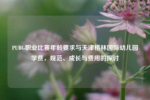 PUBG职业比赛年龄要求与天津格林国际幼儿园学费,规范、成长与费用的探讨